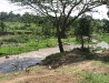 People die of water-borne illnesses from drinking the Mara River water.